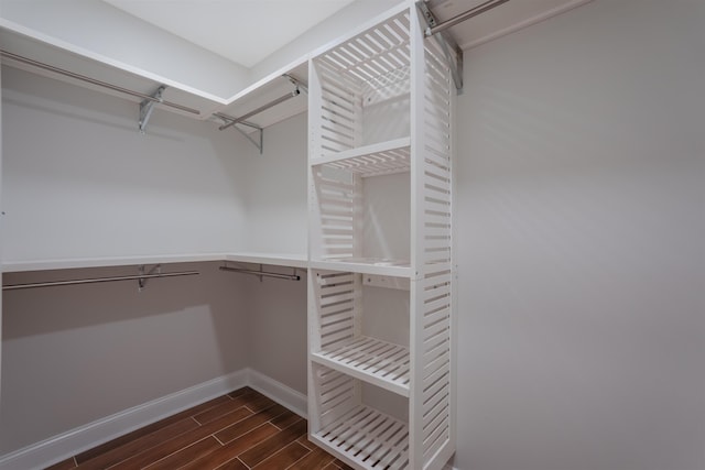 walk in closet featuring dark wood finished floors