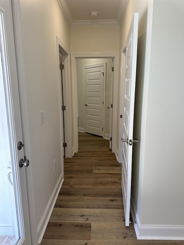 hall with crown molding and dark hardwood / wood-style flooring