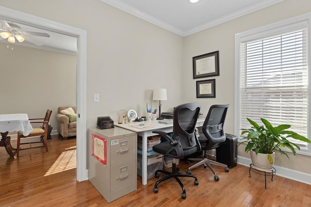 home office with crown molding, ceiling fan, and light hardwood / wood-style flooring