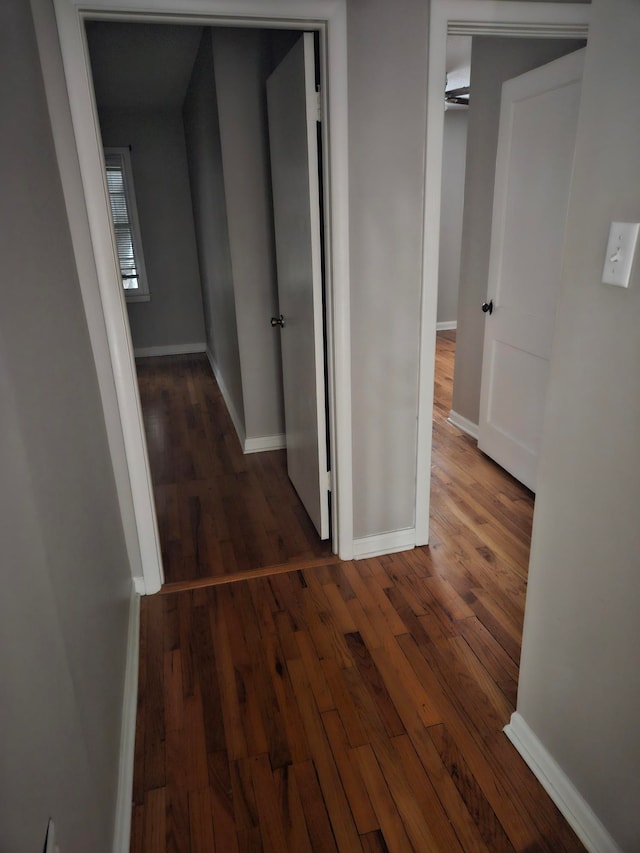 hallway with dark hardwood / wood-style floors