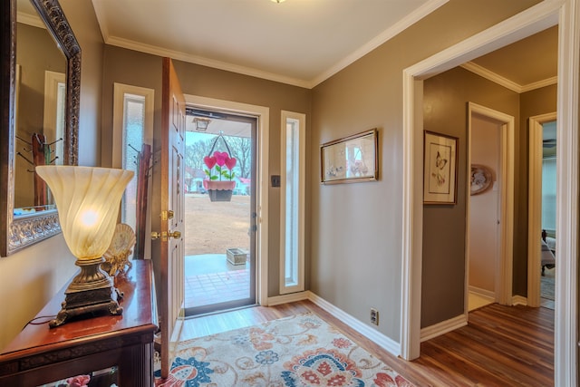 entrance foyer featuring wood-type flooring and ornamental molding