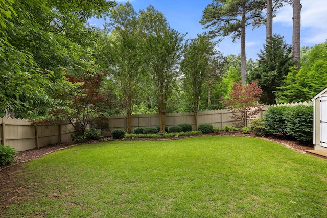  - view of yard