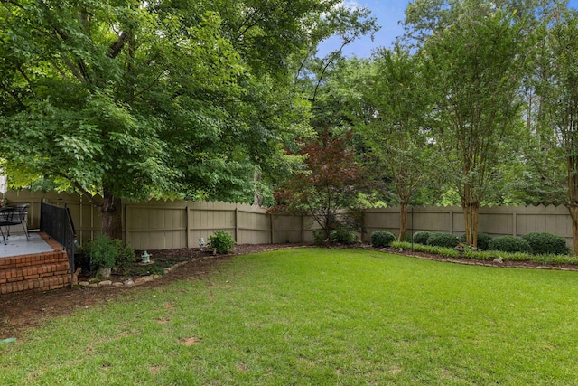  - view of yard