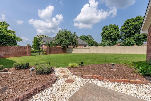  - view of yard