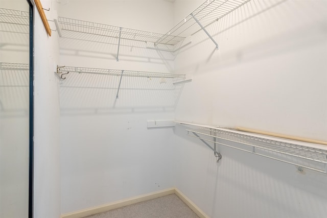  - spacious closet featuring carpet