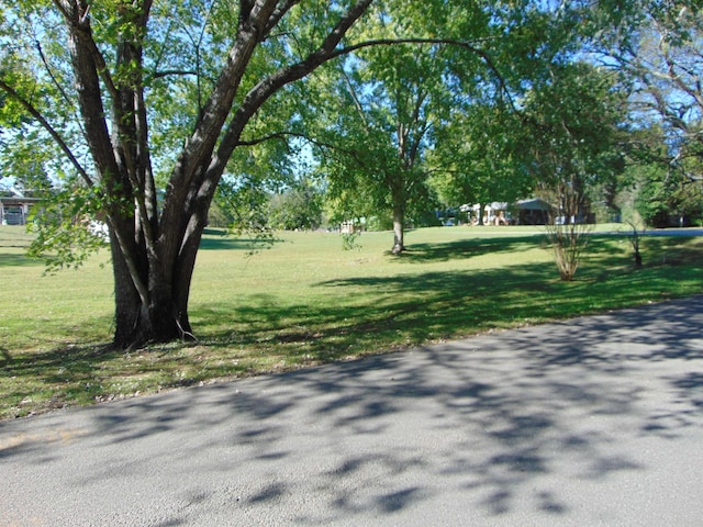  - photo 11