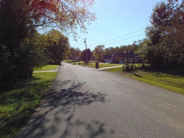  - photo 9