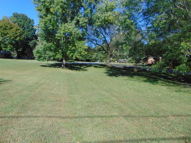  - photo 6