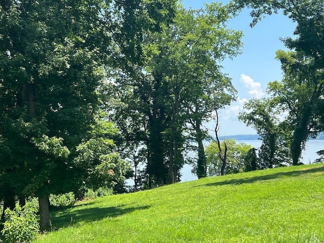  - view of local wilderness with a large body of water