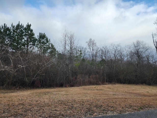 0 Meldrum St, Cullman AL land for sale