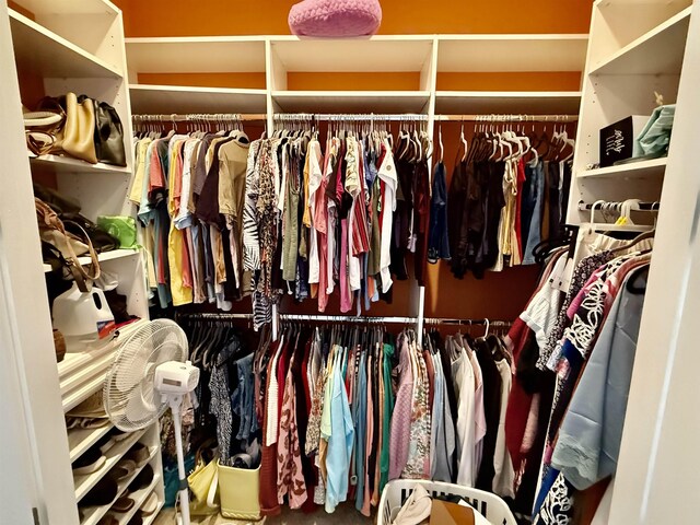  - photo 28