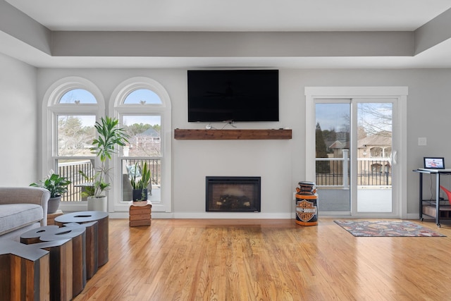 living room featuring light hardwood / wood-style floors