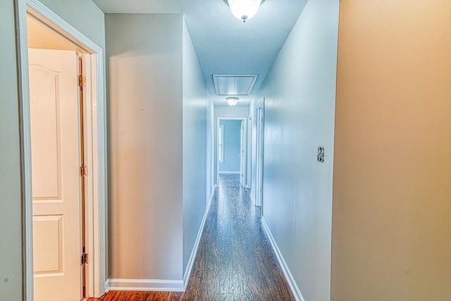 hallway featuring dark hardwood / wood-style floors