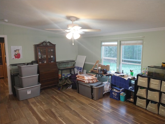 office featuring crown molding, dark hardwood / wood-style flooring, and ceiling fan