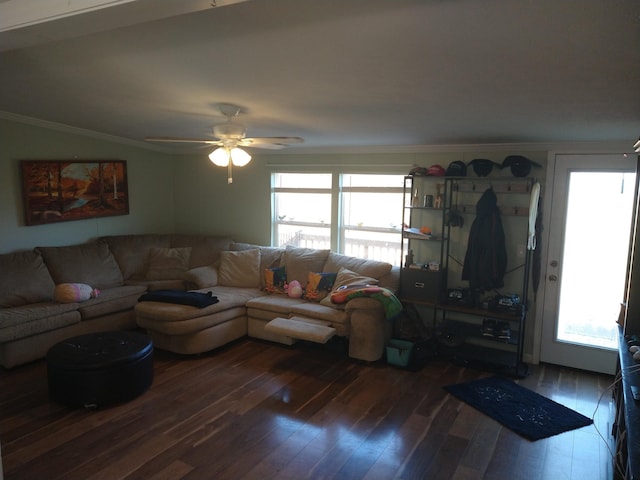 living room with a healthy amount of sunlight, dark wood-type flooring, and lofted ceiling