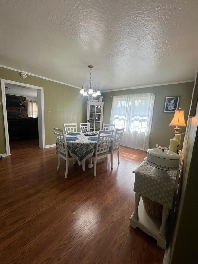 - dining space with crown molding, a chandelier, wood finished floors, and a textured ceiling