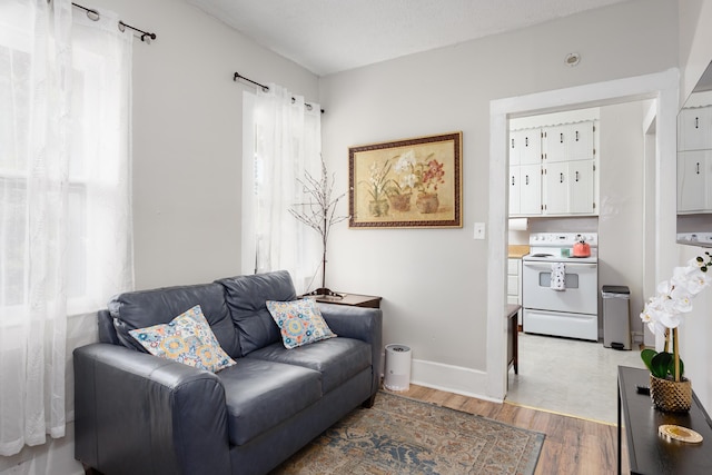  - living area featuring light wood finished floors and healthy amount of natural light