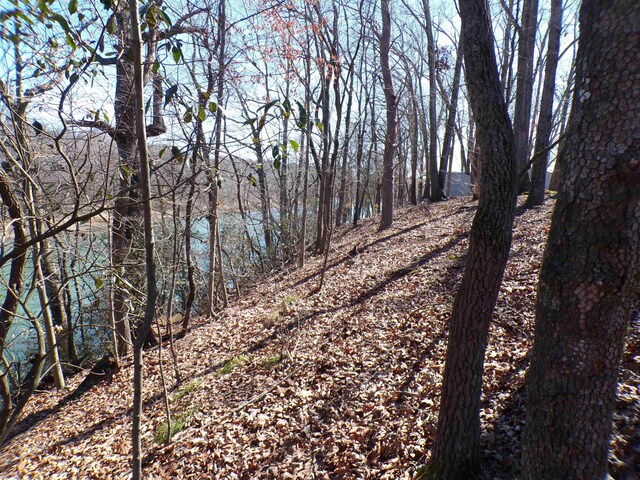  - photo 9