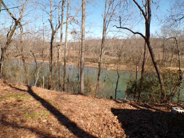  - photo 1
