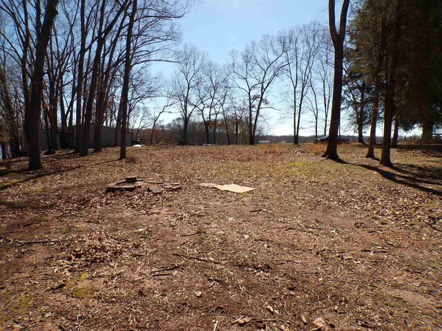  - photo 10