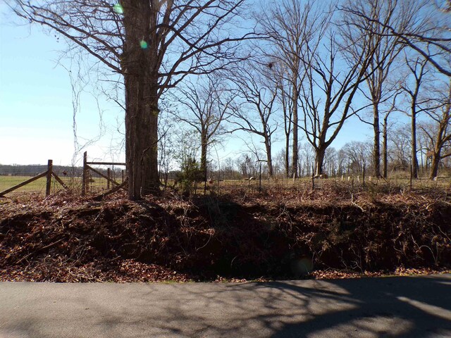  - photo 13