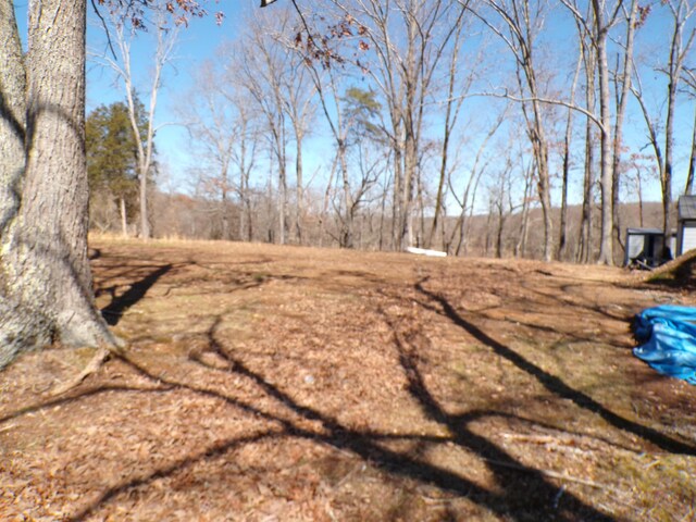  - photo 3