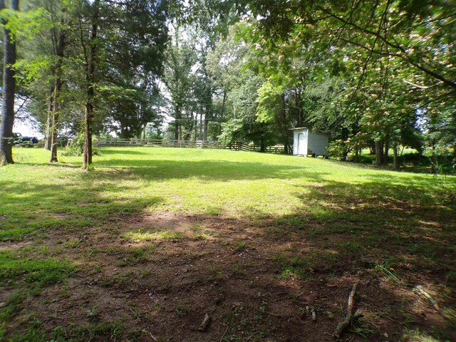  - photo 4