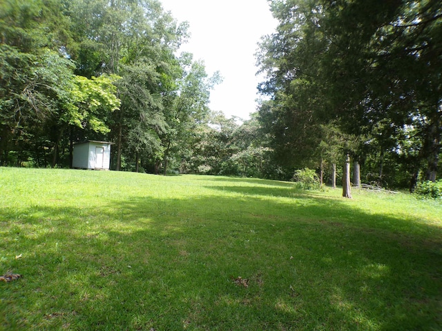  - photo 3