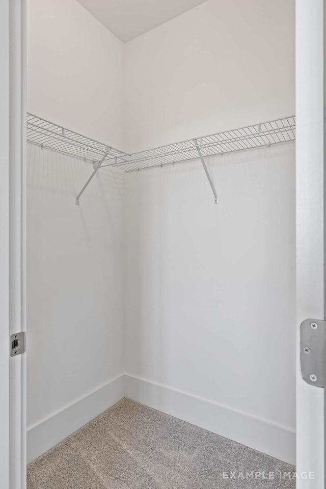 spacious closet with carpet