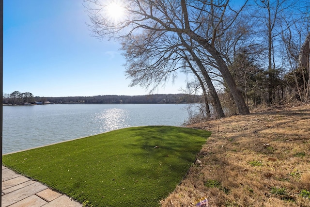 property view of water