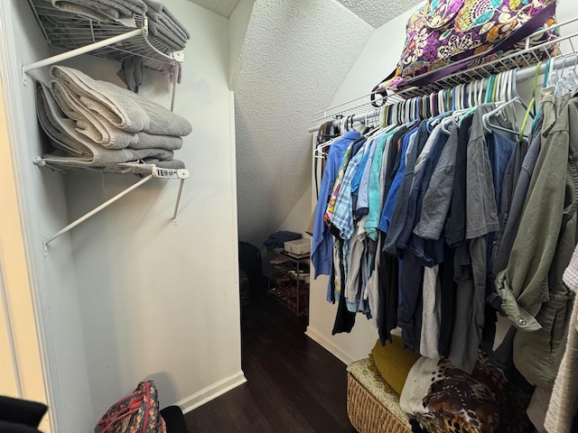 spacious closet featuring dark wood-type flooring