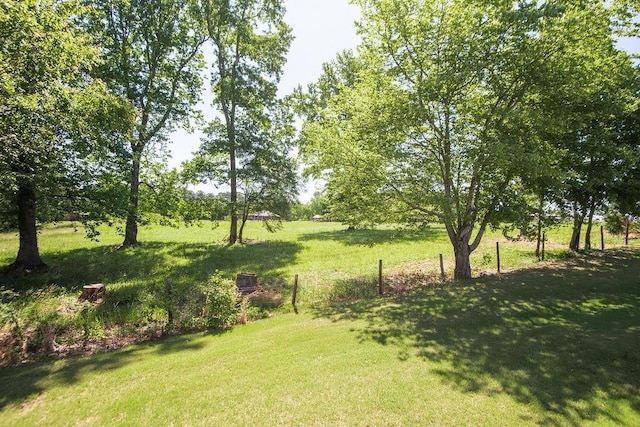  - view of grassy yard