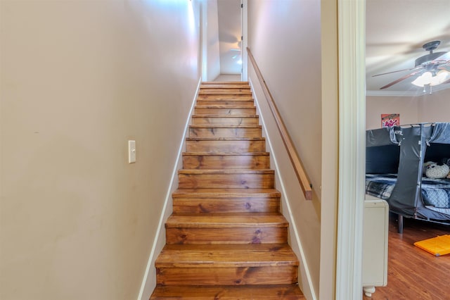 stairs featuring crown molding, hardwood / wood-style flooring, and ceiling fan