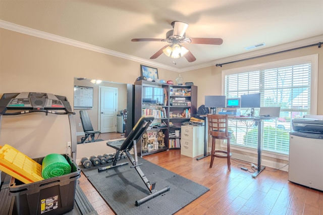 workout area featuring hardwood / wood-style flooring, ceiling fan, ornamental molding, and a wealth of natural light