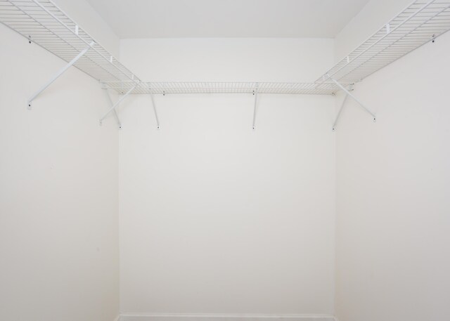  - photo 20