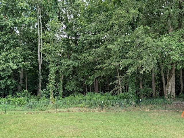  - photo 11