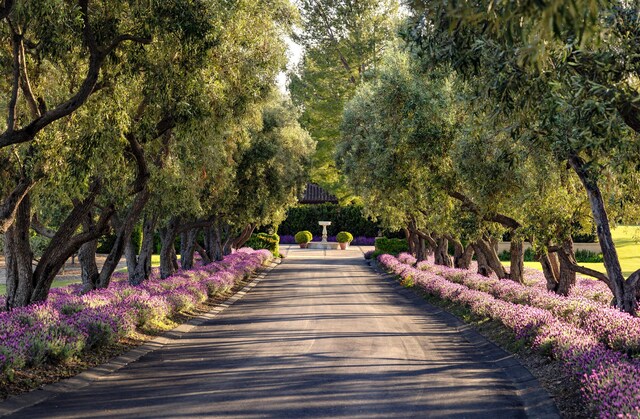1620 Westerly Rd, Santa Ynez, CA 93460 - photo 3