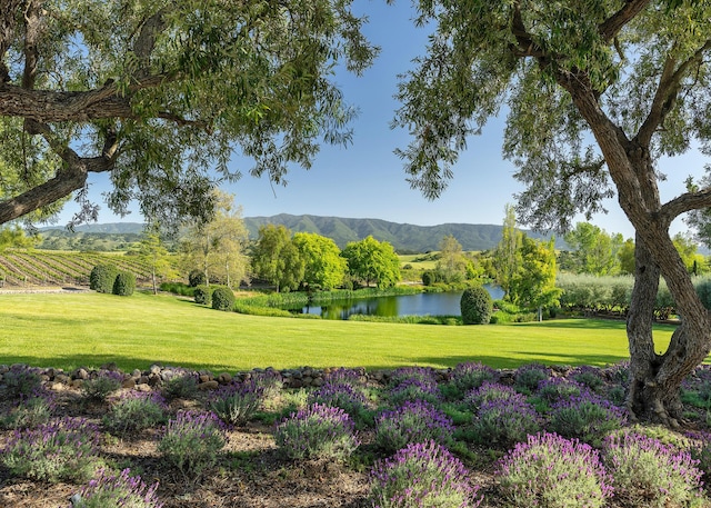 surrounding community featuring a yard, a rural view, and a water and mountain view