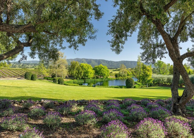 1620 Westerly Rd, Santa Ynez, CA 93460 - photo 10