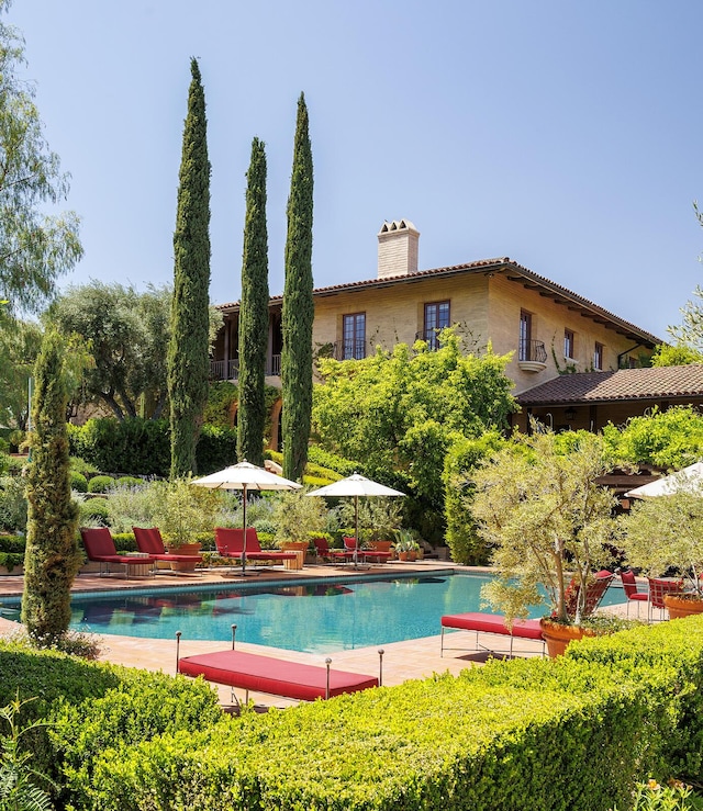 view of swimming pool featuring a patio