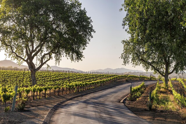 1620 Westerly Rd, Santa Ynez, CA 93460 - photo 39