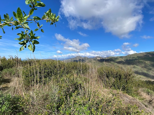 view of mother earth's splendor with a mountain view