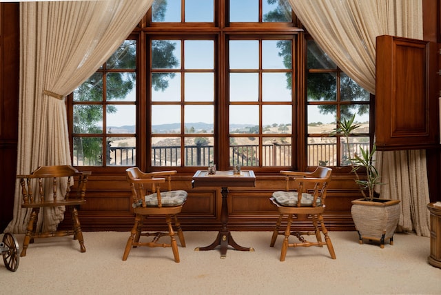 bar featuring a mountain view and carpet