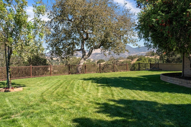 view of yard featuring a mountain view