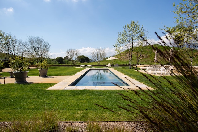 view of pool with a lawn and a patio area