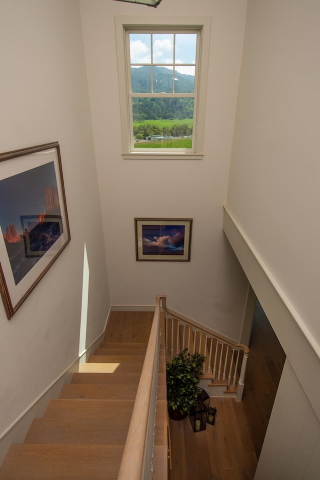 staircase featuring wood-type flooring