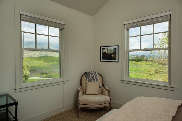 bedroom featuring carpet flooring and multiple windows