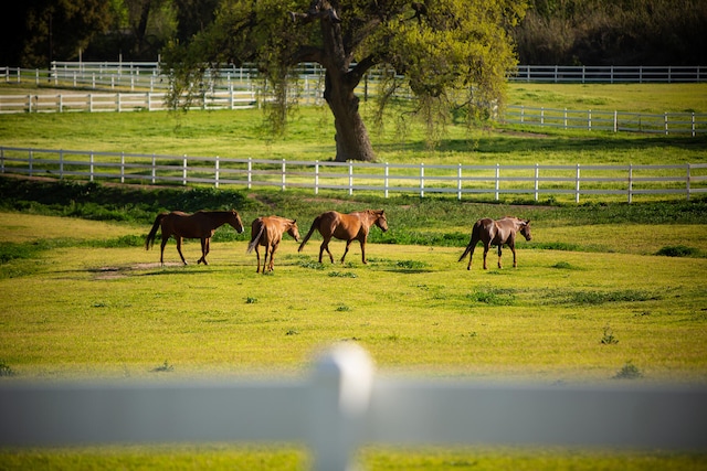 view of home's community with a rural view