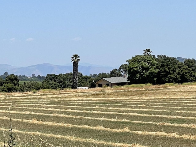 view of yard featuring a mountain view and a rural view