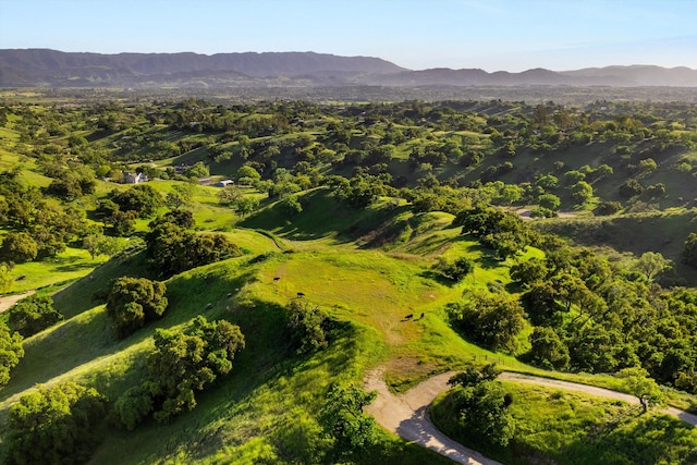 drone / aerial view featuring a mountain view